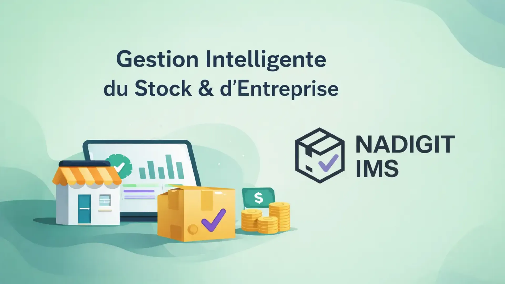 Nadigit IMS – Gestion Intelligente d’Entreprise